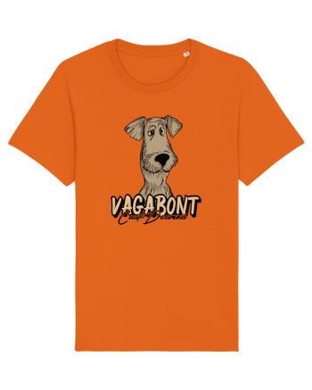 Îmi caut perechea - Vagabont caut doamnă Bright Orange