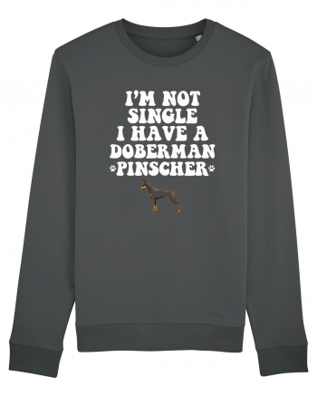 DOBERMAN Anthracite