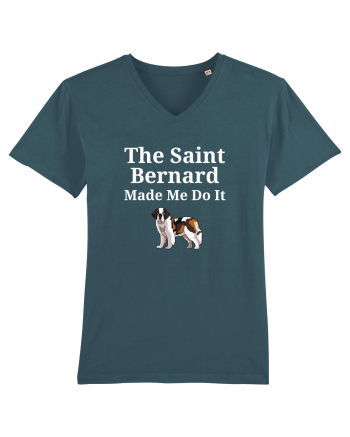 SAINT BERNARD Stargazer