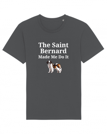 SAINT BERNARD Anthracite