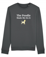 POODLE Bluză mânecă lungă Unisex Rise