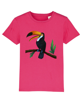Tucan Raspberry