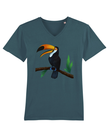 Tucan Stargazer