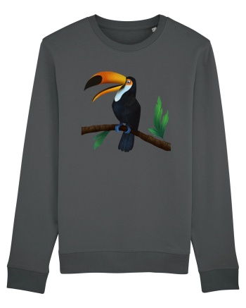 Tucan Anthracite
