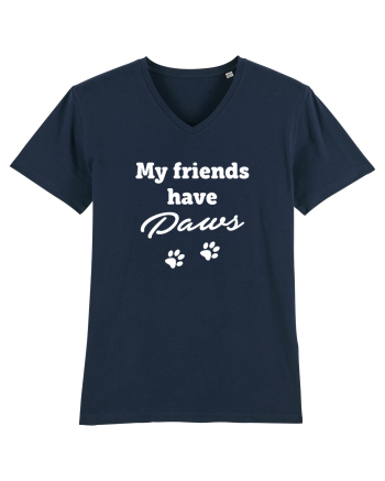 PAWS French Navy