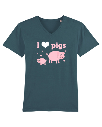PIGS Stargazer
