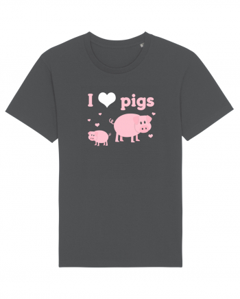 PIGS Anthracite