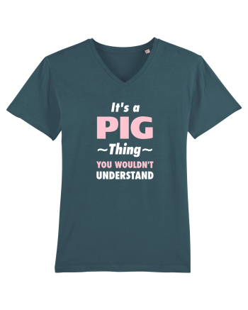 PIG Stargazer