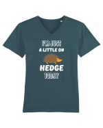 HEDGEHOG Tricou mânecă scurtă guler V Bărbat Presenter