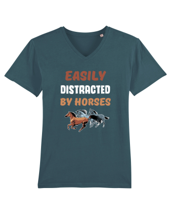 HORSE Stargazer