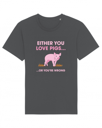 PIGS Anthracite