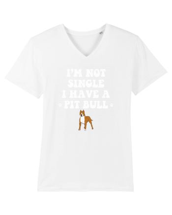 PIT BULL  White