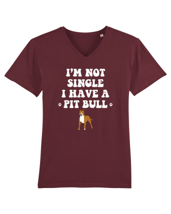PIT BULL  Burgundy
