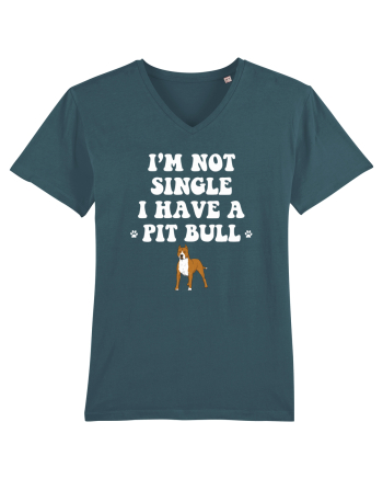 PIT BULL  Stargazer