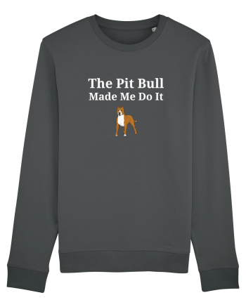 PIT BULL  Anthracite