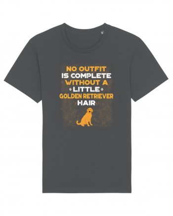 GOLDEN RETRIEVER Anthracite