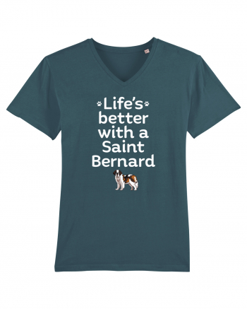 SAINT BERNARD Stargazer