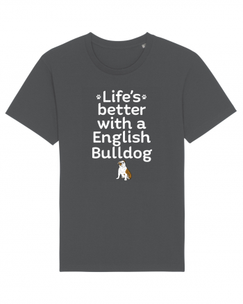 BULLDOG Anthracite