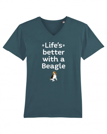 BEAGLE Stargazer