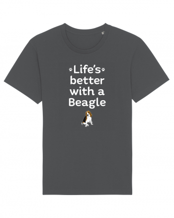 BEAGLE Anthracite