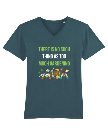 GARDENING Stargazer