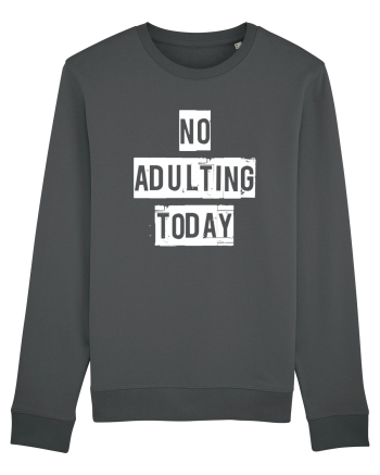NO ADULTING Anthracite