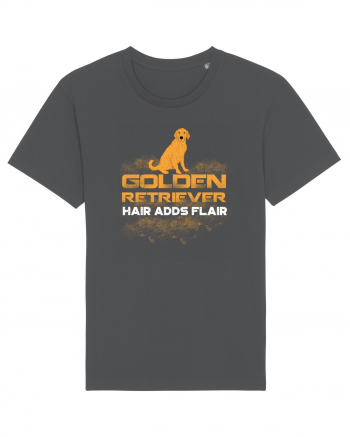 GOLDEN RETRIEVER Anthracite