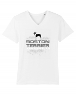 BOSTON TERRIER Tricou mânecă scurtă guler V Bărbat Presenter