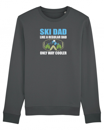 Ski Dad Like a Regular Dad Only Way Cooler Anthracite