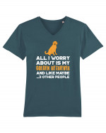 GOLDEN RETRIEVER Tricou mânecă scurtă guler V Bărbat Presenter