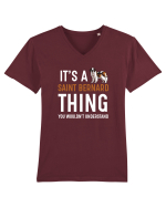 SAINT BERNARD Tricou mânecă scurtă guler V Bărbat Presenter