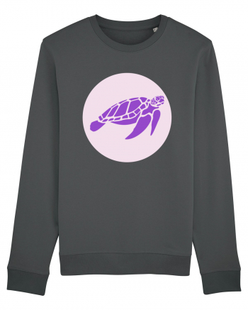 Purple Turtle Anthracite