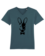 Roo Kangaroo Tricou mânecă scurtă guler V Bărbat Presenter