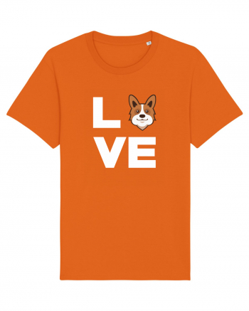 CORGI Bright Orange