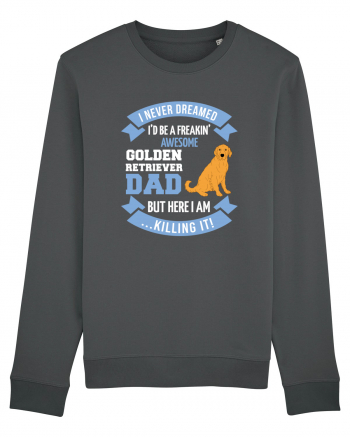 GOLDEN RETRIEVER Anthracite