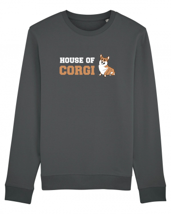 CORGI Anthracite