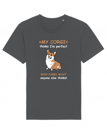 CORGI Anthracite