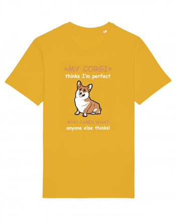 CORGI Spectra Yellow