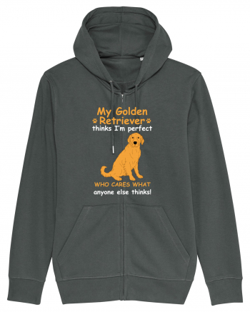 GOLDEN RETRIEVER Anthracite