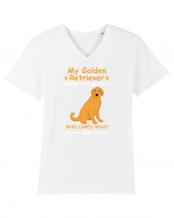 GOLDEN RETRIEVER White