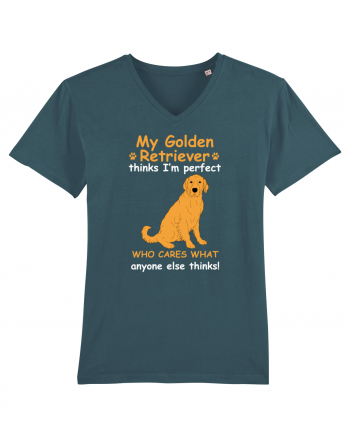 GOLDEN RETRIEVER Stargazer