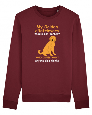 GOLDEN RETRIEVER Burgundy