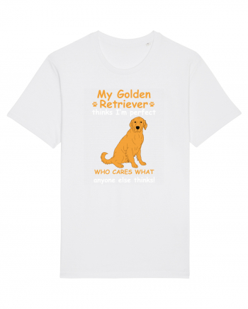 GOLDEN RETRIEVER White