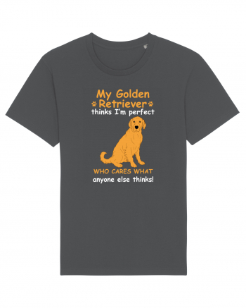 GOLDEN RETRIEVER Anthracite