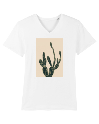Cactus White
