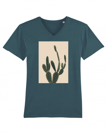 Cactus Stargazer
