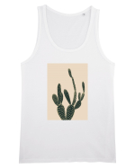 Cactus Maiou Bărbat Runs
