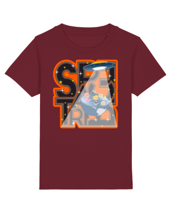 Space trip Burgundy
