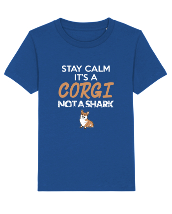 CORGI Majorelle Blue