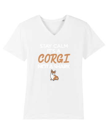 CORGI White